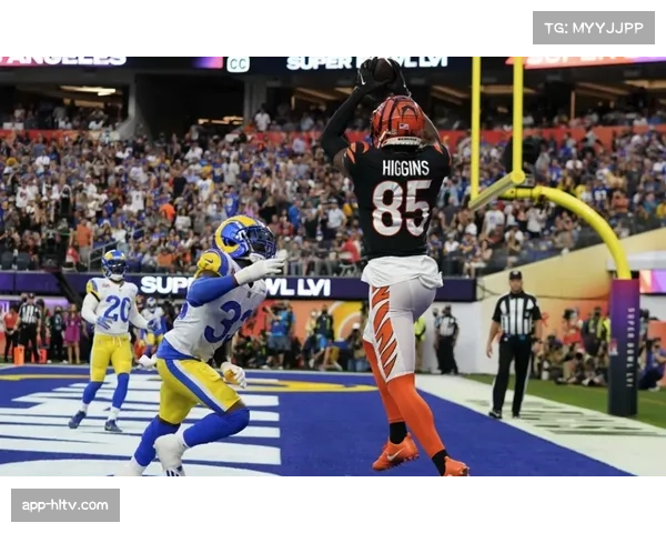 伦敦赛公羊对阵美洲虎 国际赛场展现NFL魅力